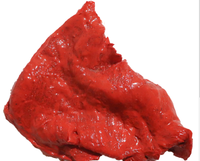 BISTEC DE CERDO ADOBADO